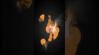 Stained glass morphing to the beat — phone VJ