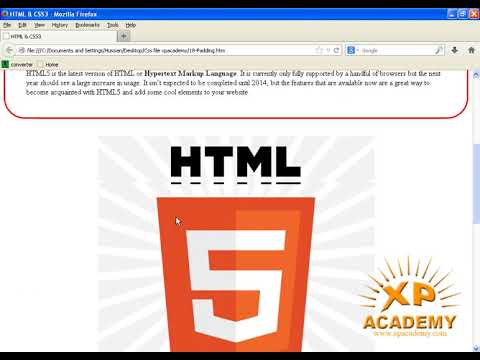 padding in css - css3 bangla tutorial 13 : box model | how to add padding in webpage