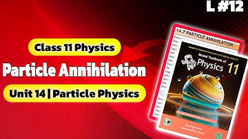 Particle Annihilation | Class 11 Physics NBF | Chapter 14: Particle Physics | National Book Foundati