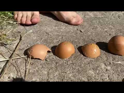 Crushing Eggs and Mushrooms with bare Feet