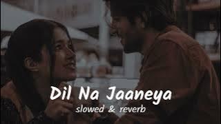 Dil Na Jaaneya (slowed & reverb) musiq mixtape