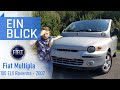 Fiat Multipla 100 ELX 2002 - Was steckt wirklich im "hässlichsten Auto"? Vorstellung & Test