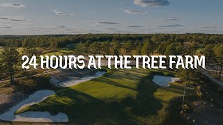 The Tree Farm: Our 24-Hour Experience at a LinksDAO Signature Event
