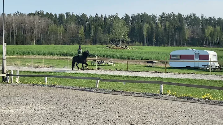 Maria Gustafson & Terna T8