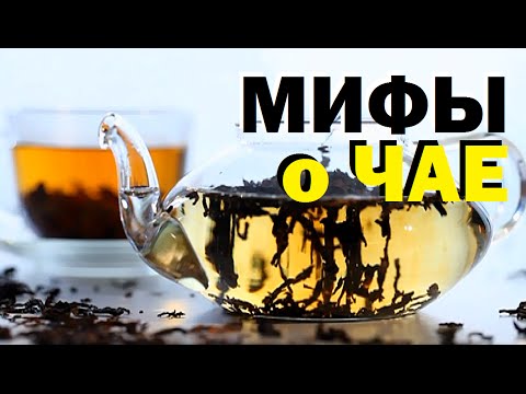 Видео: Галилео.  Мифы о чае