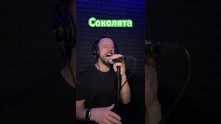 Соколята - Вʼячеслав Хурсенко (Sergiy184) Cover