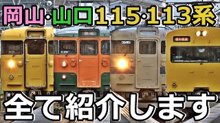 【6種類】岡山・山口にいる115・113系を紹介するぜ