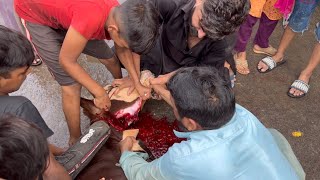 How To Muslim Cut Cow - Cow Qurbani 2023 by Lahore Pets  1,411 views 10 months ago 2 minutes, 44 seconds