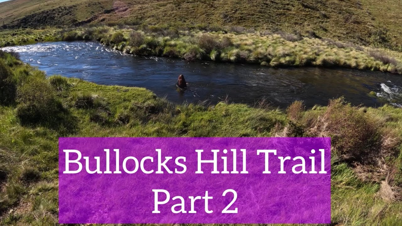 Part 2. Bullocks Hill Trail Weekender. Kosciuszko National Park. We CRASHED the Van😔 YouTube