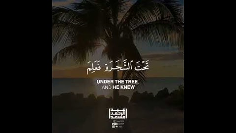 حالات واتس أب قرآن - تلاوة هادئة بصوت🎤القارئ عبدالرحمن مسعد.. سورة الفتح