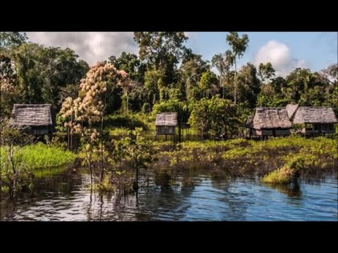 Video: 9 Najbolj Prodajnih Pripomočkov Za Potovanja Iz Amazona