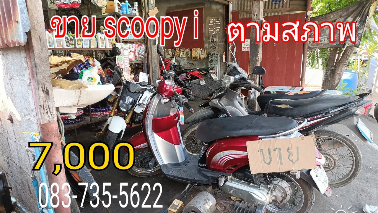 รถเข้าใหม่หลายคันมีให้เลือกชมหลายรุ่น