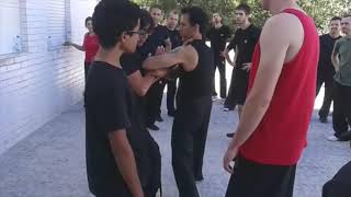 Wing Chun CRCA Combat Techniques 27