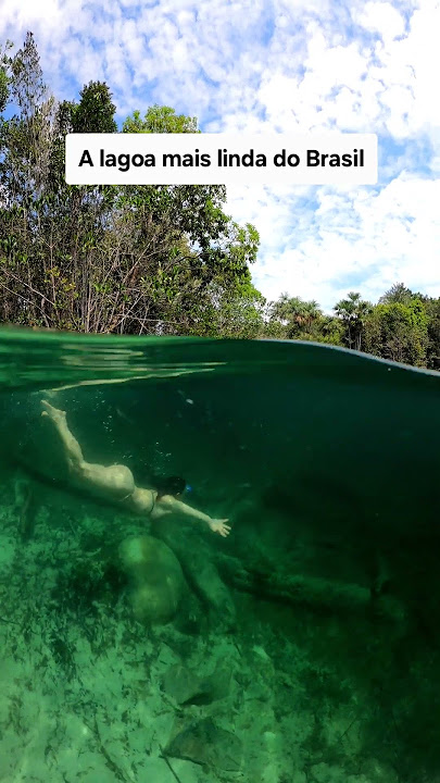 Lagoa Cristalina, Figueiredo, Amazonas #cristalclearlagoon #presidentefigueiredo