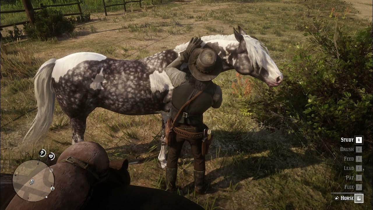 Red Dead Redemption 2 how to get Missouri Fox Trotter for free from