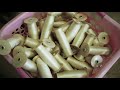 How silkworms make silk
