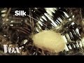 How silkworms make silk