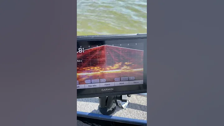 What Shad look like on Garmin livescope