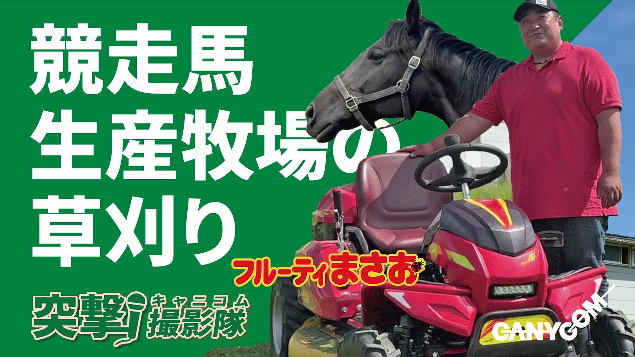 牧場ほど広くても雑草が長くても、乗用草刈機『フルーティまさお』が
