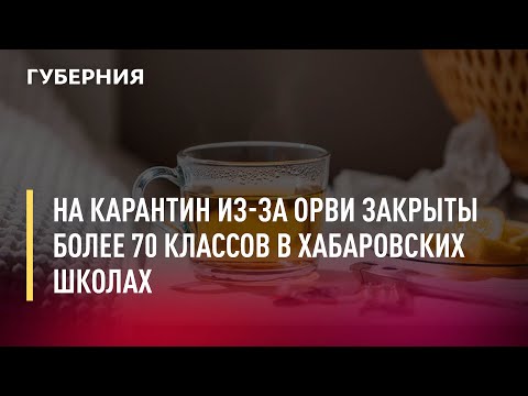 На карантин из-за ОРВИ закрыты более 70 классов в хабаровских школах. Новости.28/01/22