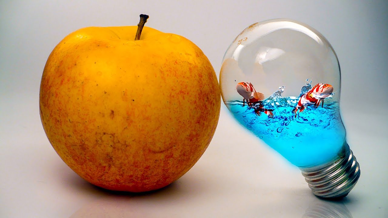 Fish In Bulb Sea And Fish In Bulb Photo Manipulation With English Subtitles ...