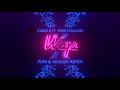 Cardi b  megan thee stallion  wap puri x akalex remix