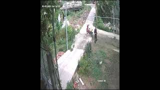 Download Lagu aksi lucu pencuri ayam MP3