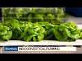 How Bowery Farming Uses Tech to Feed an Increasingly Urban Population