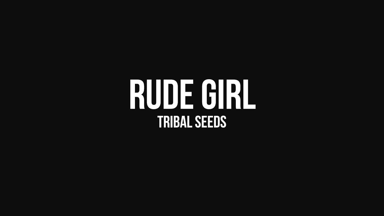 Tribal Seeds   Rude Girl OFFICIAL AUDIO