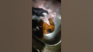 Slicing 🍗 Chicken To cook #YOUTUBE #VlRAL#like #share#Sub #thankYou ❤️