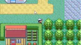 Famous Pokemon Ruby Hack Starting areas Profile