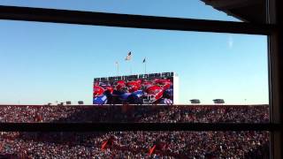 The Swamp Intro