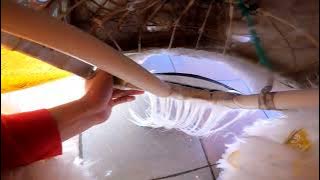 Andrew @ Chua Vietnam Lion Dance POV