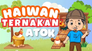 EP1 HAIWAN TERNAKAN KESAYANGAN ATOK