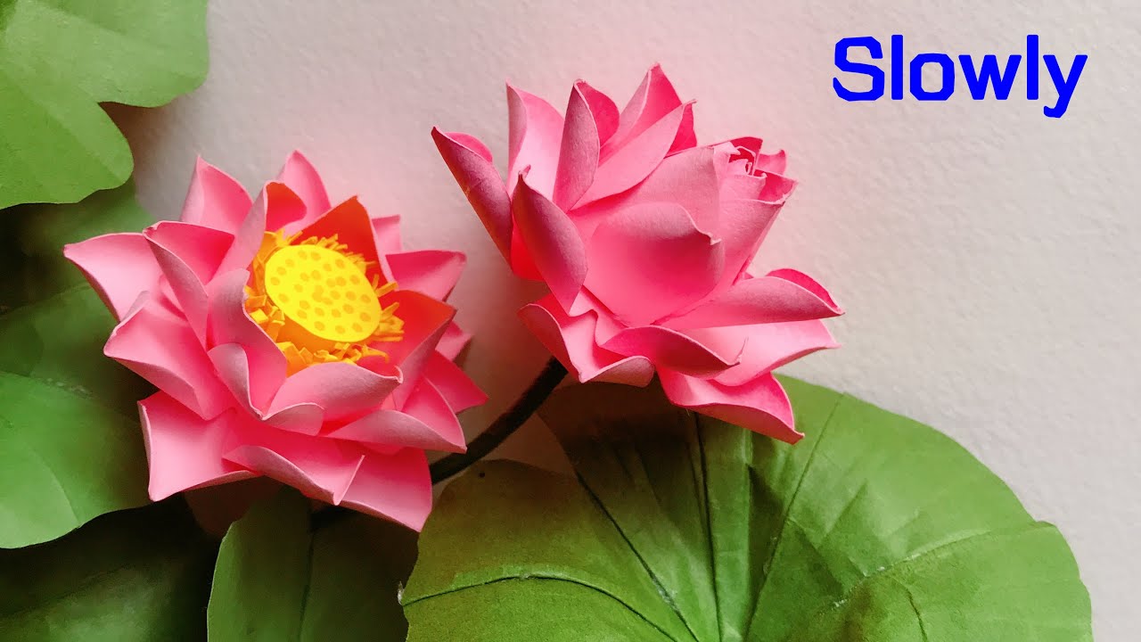 ABC TV How To Make Lotus Paper Flower With Shape Punch (Slowly