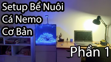 [ Part 1] Hướng Dẫn Set-Up Bể Nuôi Cá Nemo, Cá Biển Cơ Bản: Lựa Chọn Size Bể, Nguyên Liệu & Thiết Bị