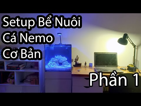 Video: Làm thế nào để cho biết nếu con mèo của bạn có đau răng