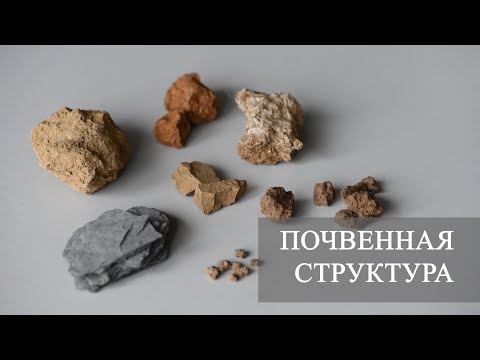 Видео: Какие типы структуры почвы?