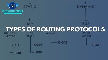 Routing Protocols: Static, Dynamic, Default | RIP, EIGRP, OSPF & BGP | IGP vs EGP #Network Ninja🥷