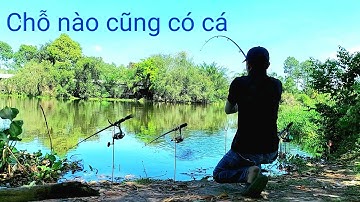 Câu cá tra sông bãi đẹp nhiều người câu / river fishing || Cúc Nguyễn Official