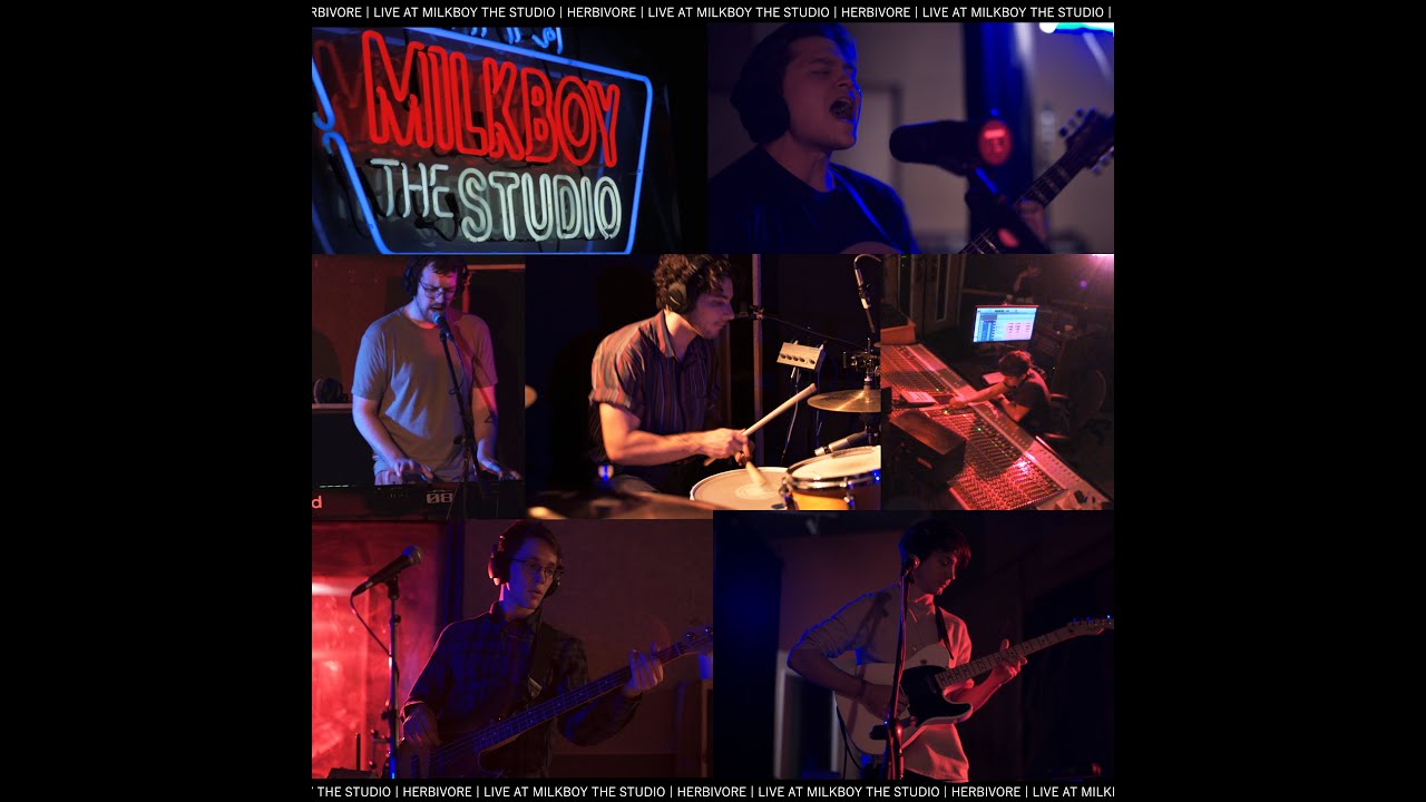 Herbivore Live at Milkboy the Studio