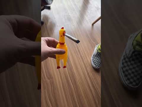 El pollo que fumå.