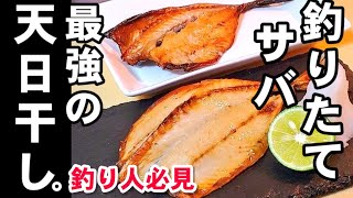 【野島公園サビキ調査】めっちゃ旨い！サバの天日干しとみりん干し作り方(サバの開き捌き方、金アジ、釣魚料理、干物作り方、保存食、横浜八景島釣り