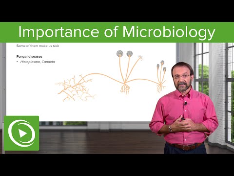 Importance of Microbes: Bacterial Diseases – Microbiology | Lecturio
