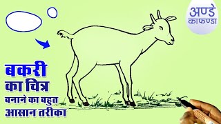 How to draw goat, Goat drawing, Bakari ka chitra banane ka aasan tarika, illustration of goat