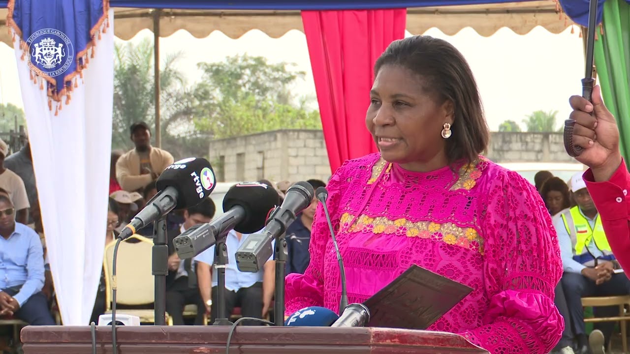 Projet d'interconnexion entre le Gabon et la Guinée Equatoriale  : une coopération agissante