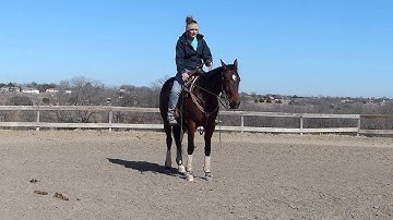 WilluAcceptThisRose - Juan Pablo - counter-bending, sidepassing, turn arounds - Valley View Ranch