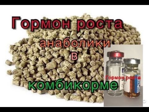 Видео: Какой растительный гормон является ингибитором роста?