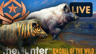 5,672 Kills… GREAT ONE Wild Boar Grind at Drink Zones