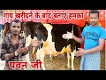 गाय खरीदने के बाद बताएं हमको पवन जी #dailyvlogsvideo #gopiarchnavlogs